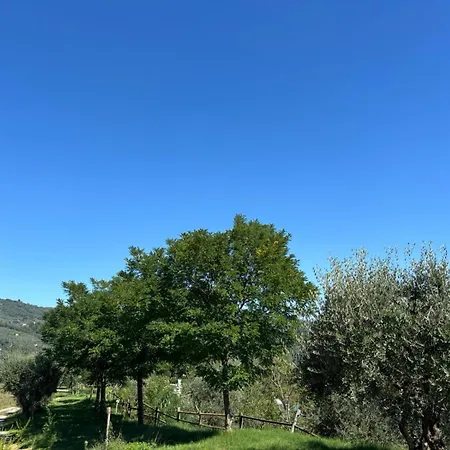 Κάμπινγκ Belsito *