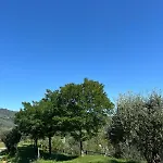 Kamp alanı Belsito *
